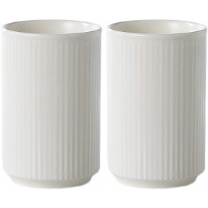 HOTSAN BATHROOM ACCESSORY 2pcs Vertical Stripes Porcelain Tumbler Cup,Tooth-Brushing Cup for Bathroom.